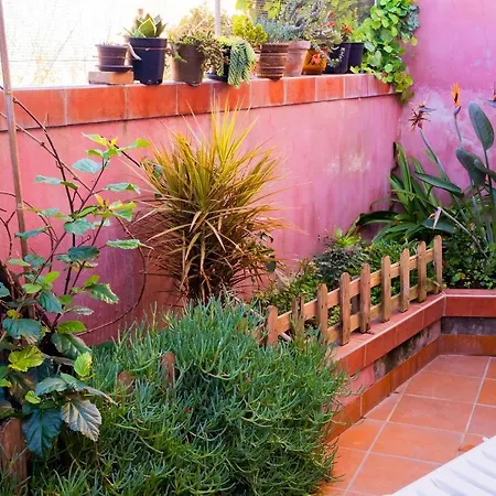 Casa De Las Flores - 3br Sea & Teide Views Terrace Ferienhaus *